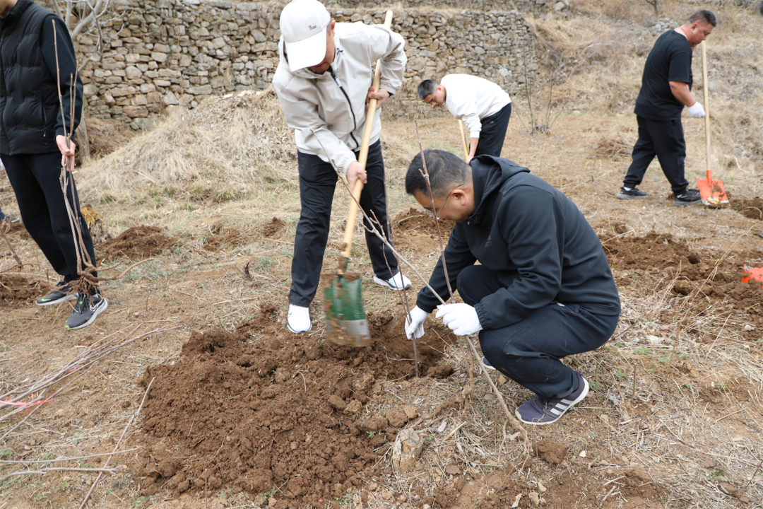 8f85944544987dd437c766f47131de3a_640_wx_fmt=png&from=appmsg&tp=webp&wxfrom=5&wx_lazy=1#imgIndex=16 8f85944544987dd437c766f47131de3a_640_wx_fmt=png&from=appmsg&tp=webp&wxfrom=5&wx_lazy=1#imgIndex=16